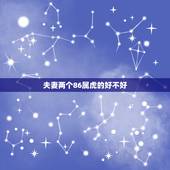 夫妻两个86属虎的好不好，属虎2022 年桃花劫在几月