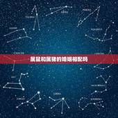 属鼠和属猪的婚姻相配吗，生肖猴一辈子贵人是谁