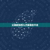 父亲蛇和鸡儿子属相合不合，属蛇和属鸡的合不合