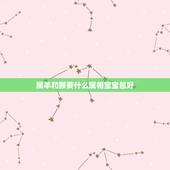 属羊和猴要什么属相宝宝包好，女的属猴，男的属羊，生什么属相的孩子好？