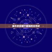 属牛的找哪个属相的合作好，属牛人13年开店店面朝哪个方向好