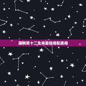 属狗男十二生肖最佳婚配属相，属鼠的和什么属相最配？