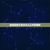 属相龙属于金木水火土中的哪种，龙属什么五行
