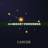 2028属龙女两个字招财吉祥微信名，属龙人的微信头像及昵称