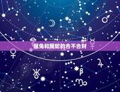属兔和属蛇的合不合财，男兔女蛇叫蛇盘兔吗