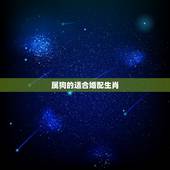属狗的适合婚配生肖，属狗人的婚配适合什么属相