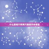 什么属相只有两只脚提示米老鼠，什么老鼠只有两只脚提示，米老鼠，猜一生肖