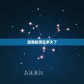 属兔的现在多大了，2022 年属兔的今年多大虚岁