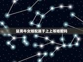 鼠男牛女婚配属于上上等婚配吗，男鼠女牛婚配生育会生男儿还是女儿