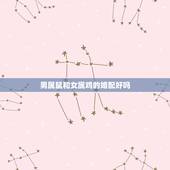 男属鼠和女属鸡的婚配好吗，男属鼠女属鸡配吗_鼠和鸡配吗？