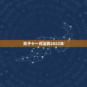 双子十一月运势2022年，11月双子座学业运势。