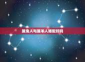 属兔人与属羊人婚配好吗，属兔和属羊的相配吗