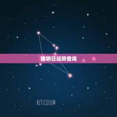 猪明日运势查询，属猪今日财运在哪个方向
