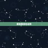 紫薇算流年运势，紫微看流年