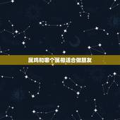 属鸡和哪个属相适合做朋友，属鸡的找什么属相的好