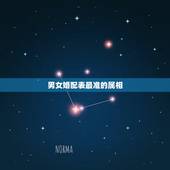 男女婚配表最准的属相，属相婚配表之属猪的和什么属相最配