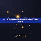 十二生肖最佳的婚姻配对表 最全的十二属相婚配表