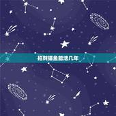 招财猫鱼能活几年，招财猫鱼一个月能长几厘米一年呢？