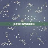 老虎跟什么生肖相冲吗，生肖虎和龙相冲吗
