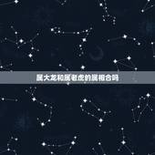 属大龙和属老虎的属相合吗，属虎和属龙的属相，相合吗