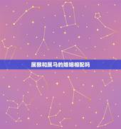 属猴和属马的婚姻相配吗，属猴和属马的婚姻如何