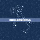 顺风顺水绿色植物微信头像，用绿色植物做头像是什么性格？