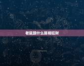 老鼠跟什么属相旺财，老鼠跟什么属相冲