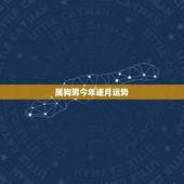 属狗男今年逐月运势，70年属狗2021年运势及运程每月运程