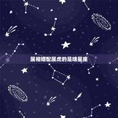 属相婚配属虎的是啥星座，男人属虎的是什么星座