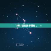 2021出生孩子属相，2021年喜得贵子的男生肖