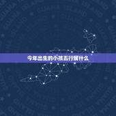 今年出生的小孩五行属什么，12012年12月12日下午5点30分左右出