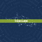 今年是什么属相，今年是什么年生肖是什么呀