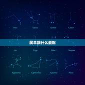属羊跟什么最配，属羊适合找什么属相的