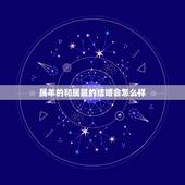 属羊的和属鼠的结婚会怎么样，属鼠和属鼠的人相配吗