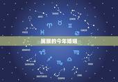 属猴的今年婚姻，属猴今年动婚姻吗？