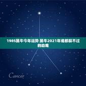 1985属牛今年运势 属牛2021年谁都躲不过的劫难