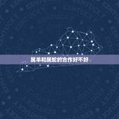 属羊和属蛇的合作好不好，属蛇和属羊的合不合