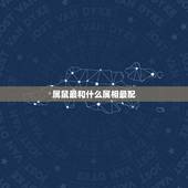 属鼠最和什么属相最配，属鼠的和什么属相不和