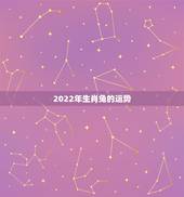 2022年生肖兔的运势，1987生肖兔2022年运势