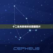 十二生肖属相排名圆圈图片，十二生肖中哪个属相最好