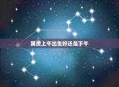 属虎上午出生好还是下午，属虎什么时辰出生好