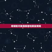 婚姻配对属相属猪和属鼠婚姻，我和老公属鼠，儿媳妇属猪，结婚那天属相犯冲