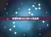 苏珊米勒2022年12月运势，苏珊米勒2017年12月运势完整版
