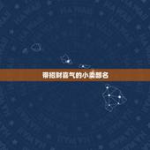 带招财喜气的小卖部名，好听一点的小卖部名字，要文雅点，幽默点，急求谢谢