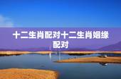 十二生肖配对十二生肖姻缘配对，十二生肖配对表年份