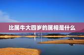 比属牛大四岁的属相是什么，43岁比猪大四岁的属什么？