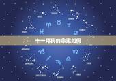 十一月狗的命运如何，农历12月属狗命运如何