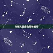 刘耀文正缘会是粉丝吗，刘耀文谈恋爱可能是圈内还是圈外？