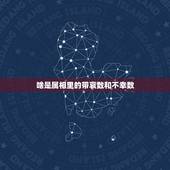 啥是属相里的带哀数和不幸数，95年属猪的和什么属相最配