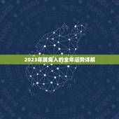 2023年属兔人的全年运势详解(好运连连财源滚滚)